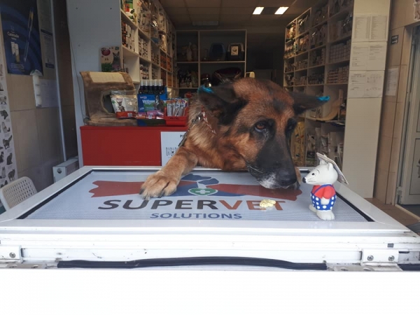 Cabinet veterinar non stop Chitila - SuperVet