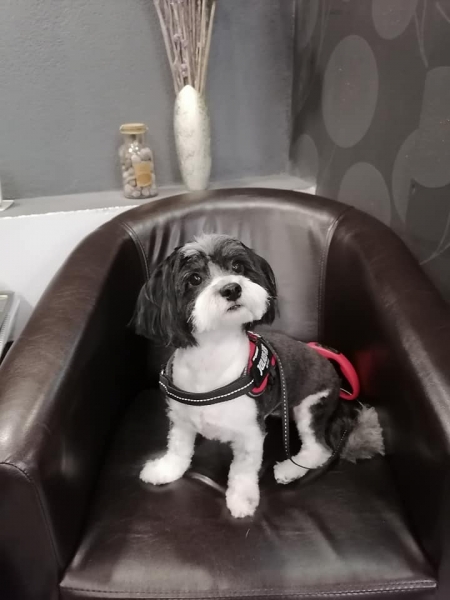 Fifi Salon Baba Novac