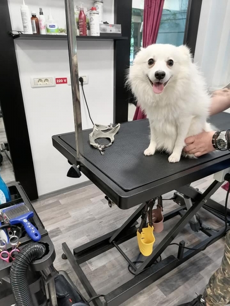 Fifi Salon Baba Novac