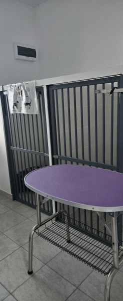 Cabinet veterinar Adorapet Clinceni